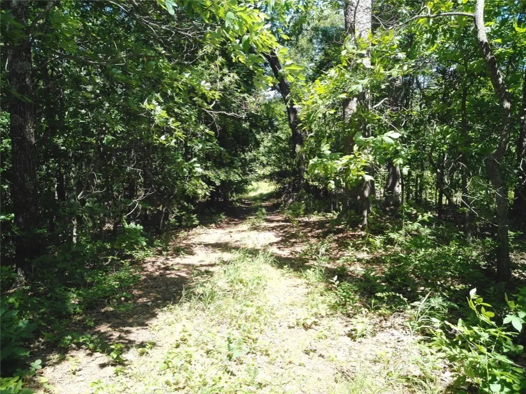 Picture 34