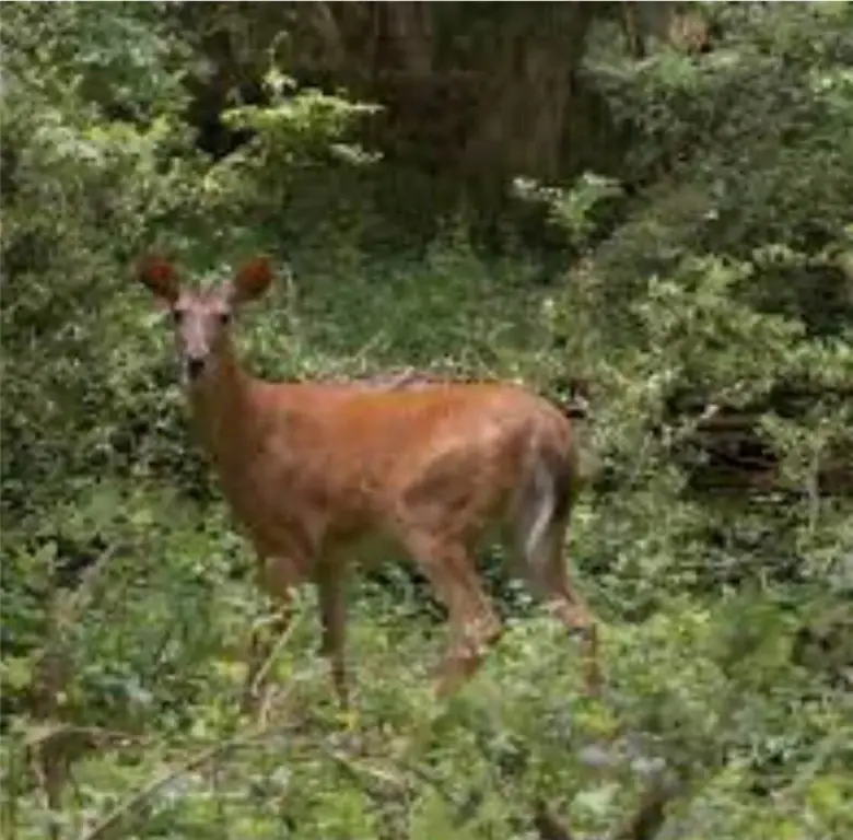 Picture 23