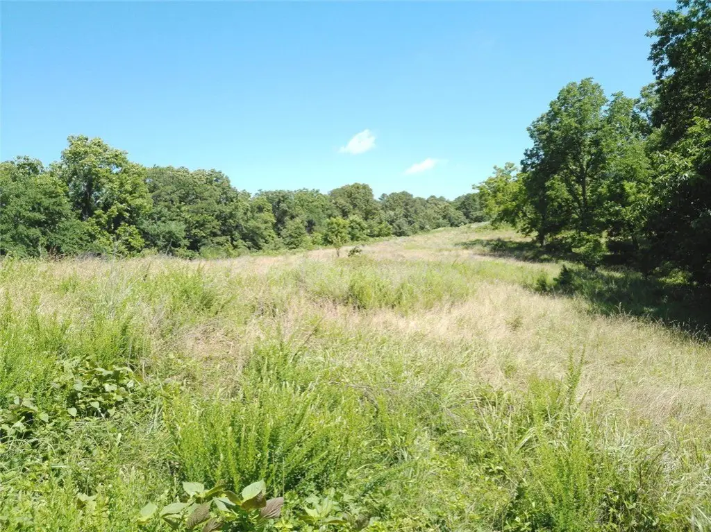Picture 45