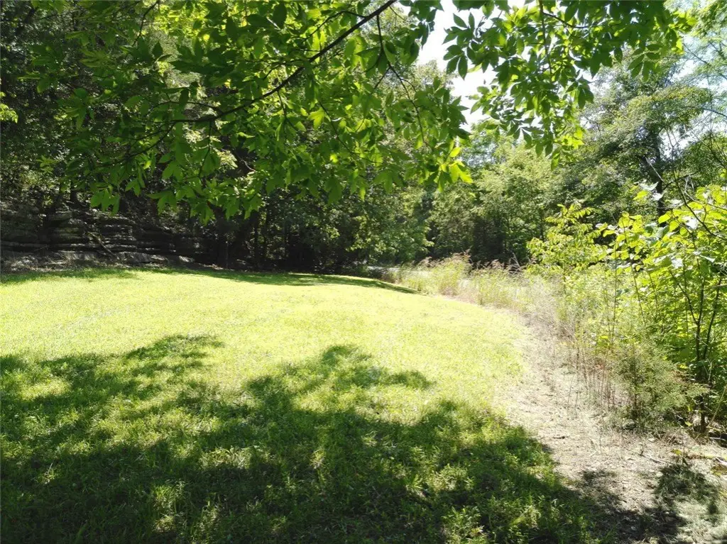 Picture 15