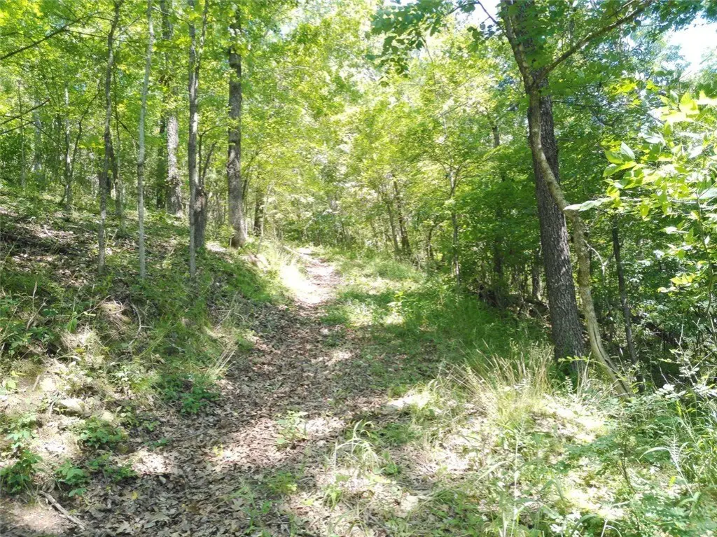 Picture 46