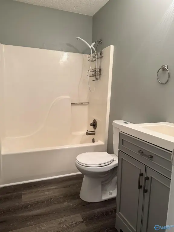 Picture 16