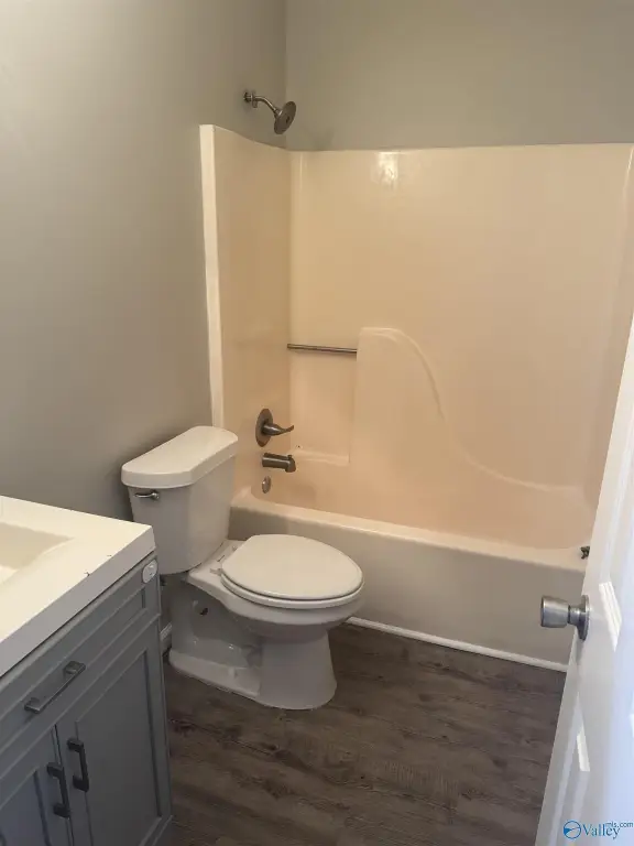 Picture 5