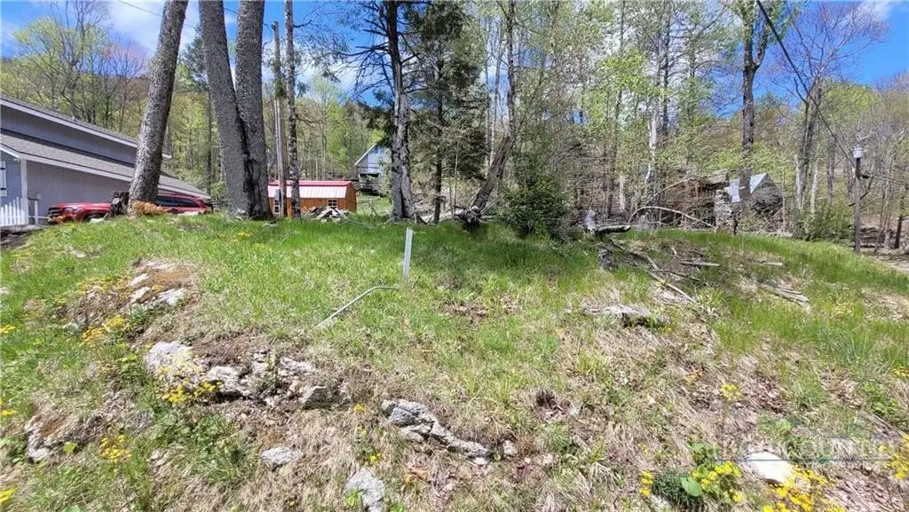 Picture 4