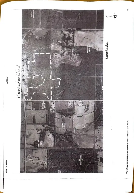 Picture 12