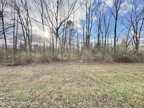 Lehighton Wooded Building Lot