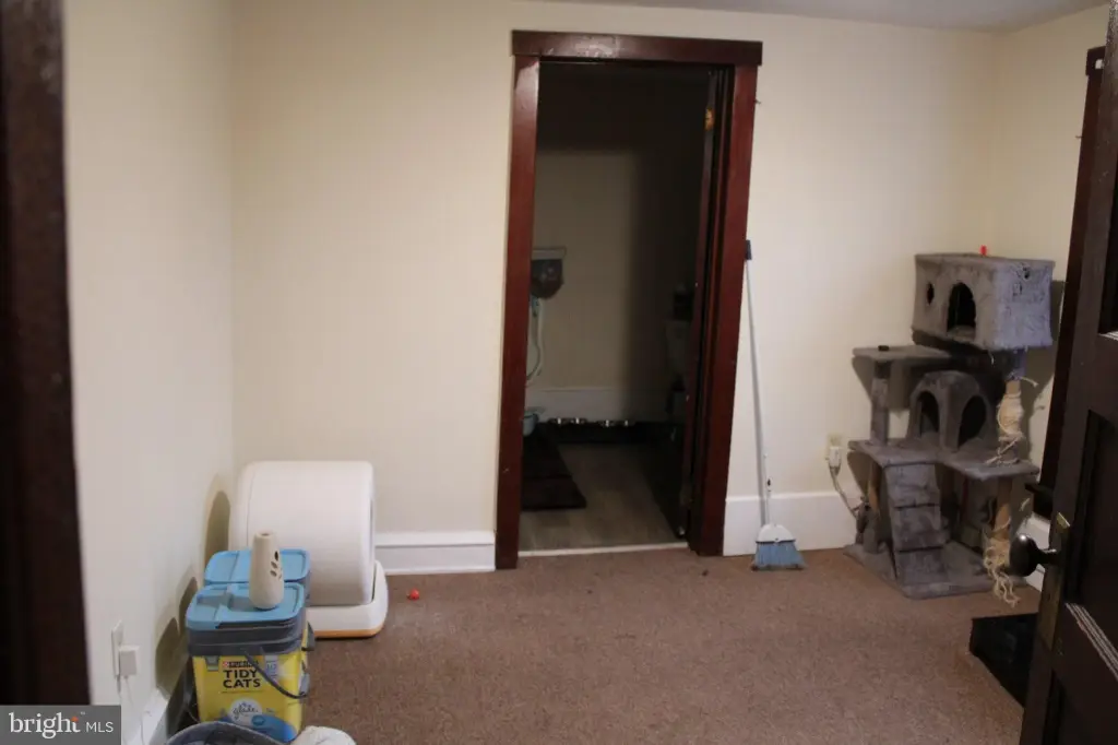 Picture 46
