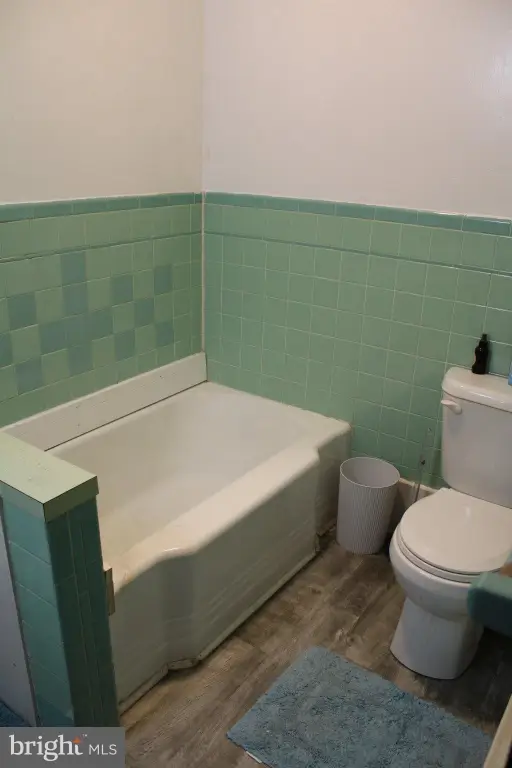 Picture 42
