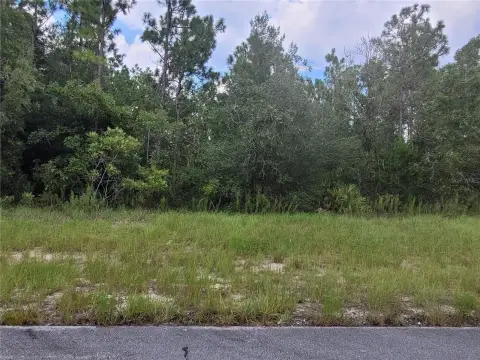 Marion Oaks Land For Sale