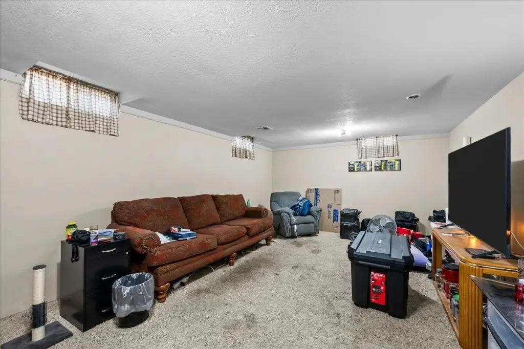 Picture 17