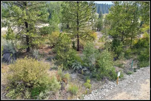 Idaho City Land with Amenities