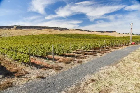 Arlington Farm with Vineyard Potential