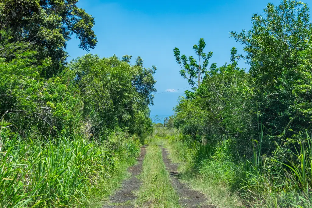 Picture 23
