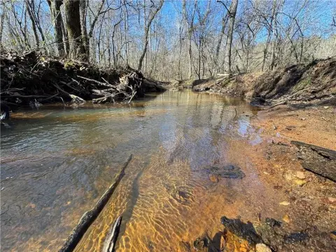 Mature Timberland Property in Lafayette