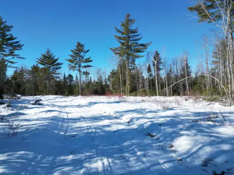 80 Acres of Maine Woodland