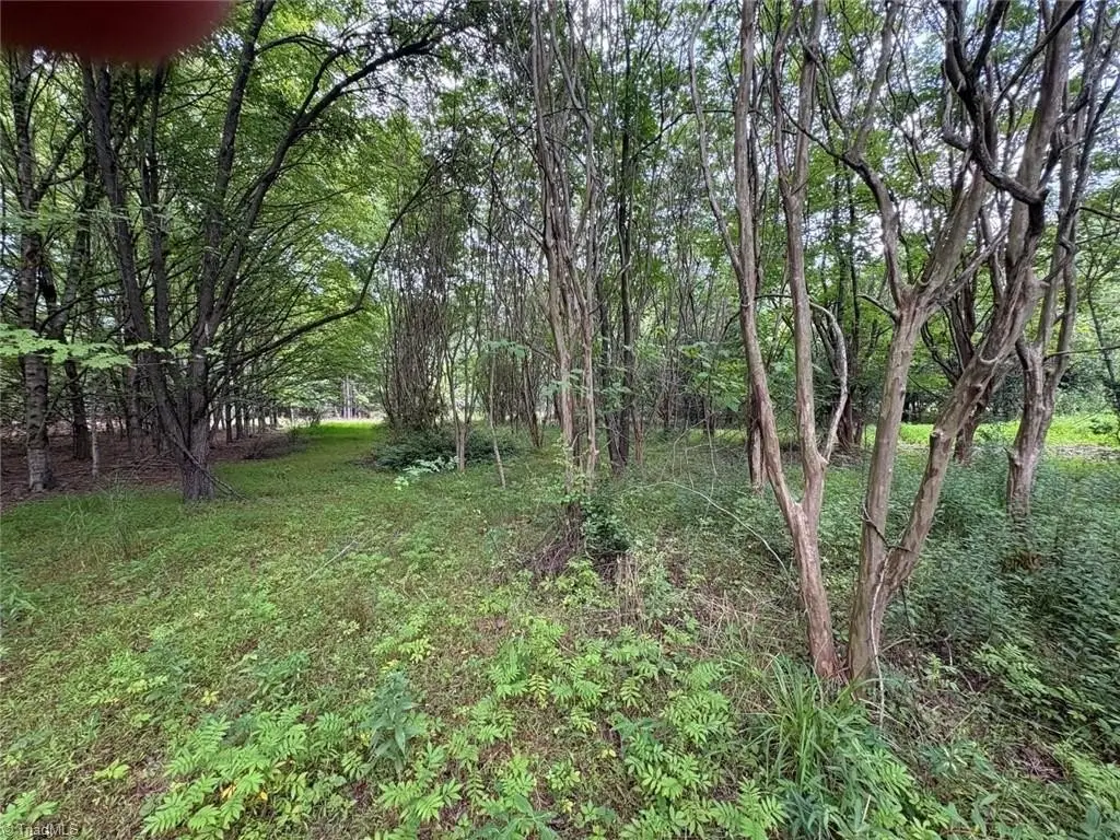 Picture 45