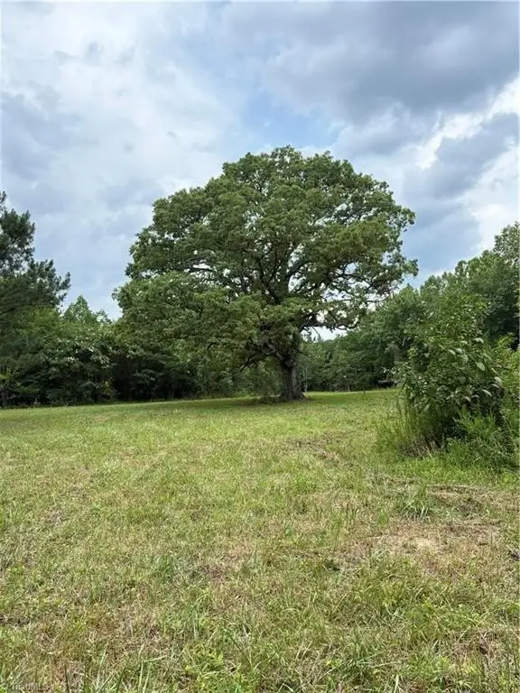 Picture 40