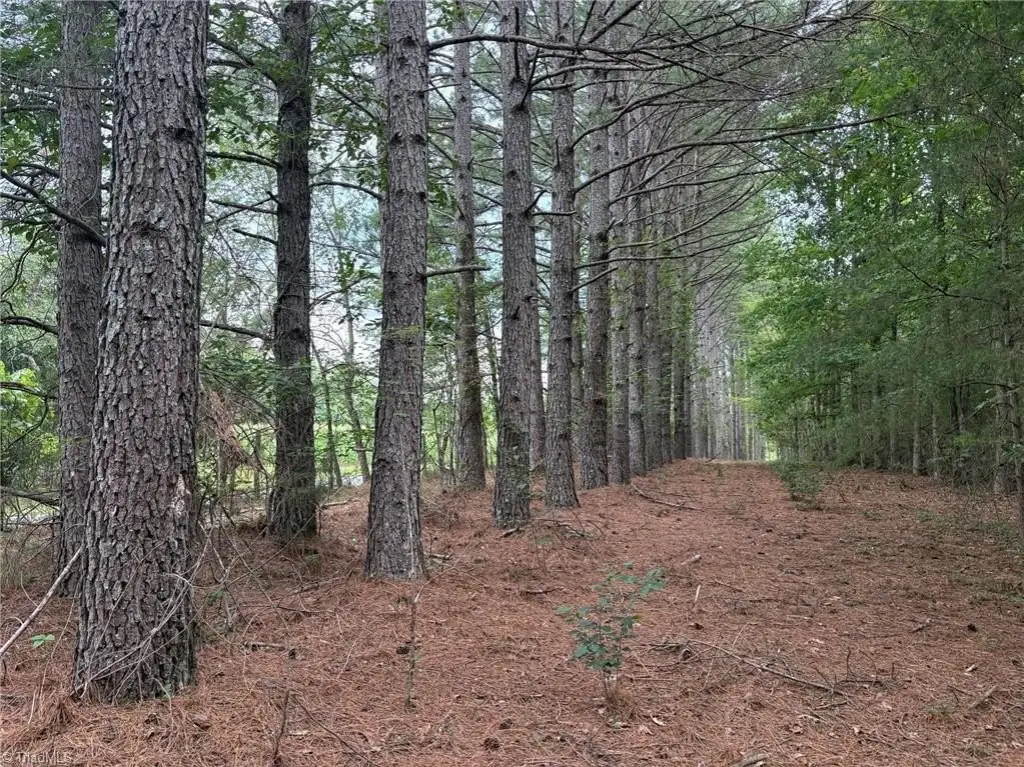 Picture 43