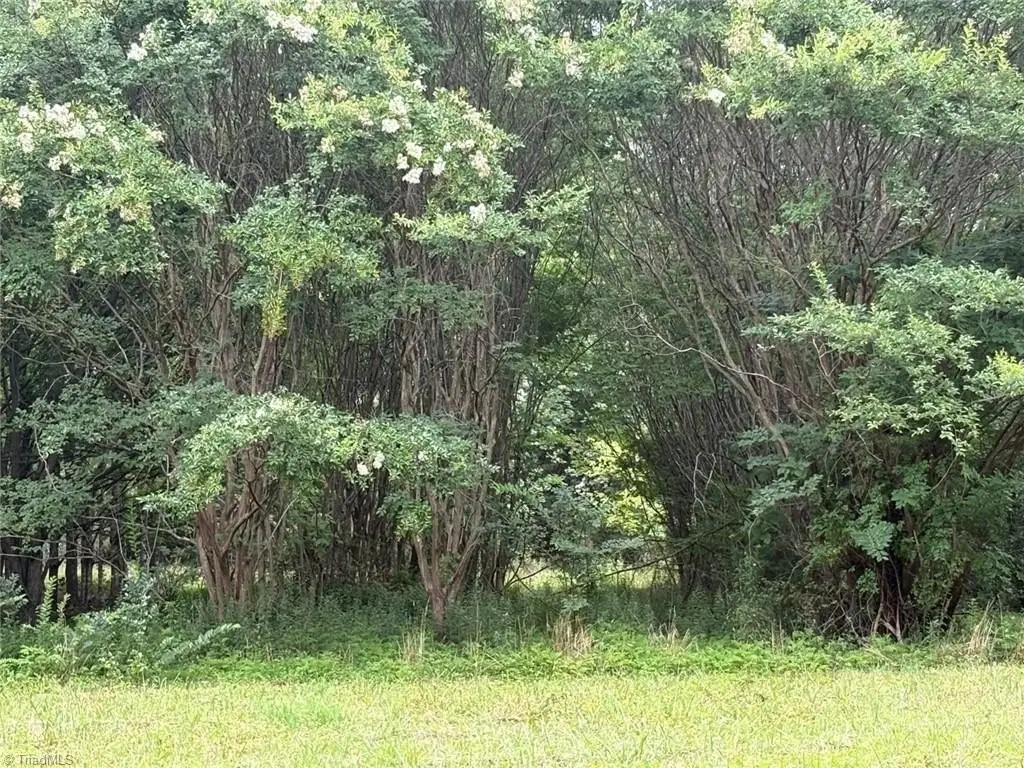 Picture 46