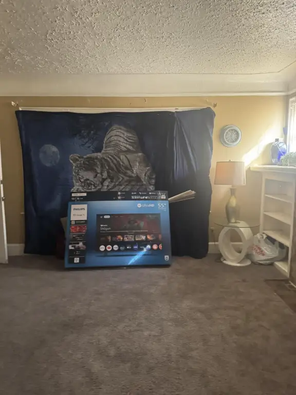 Picture 3