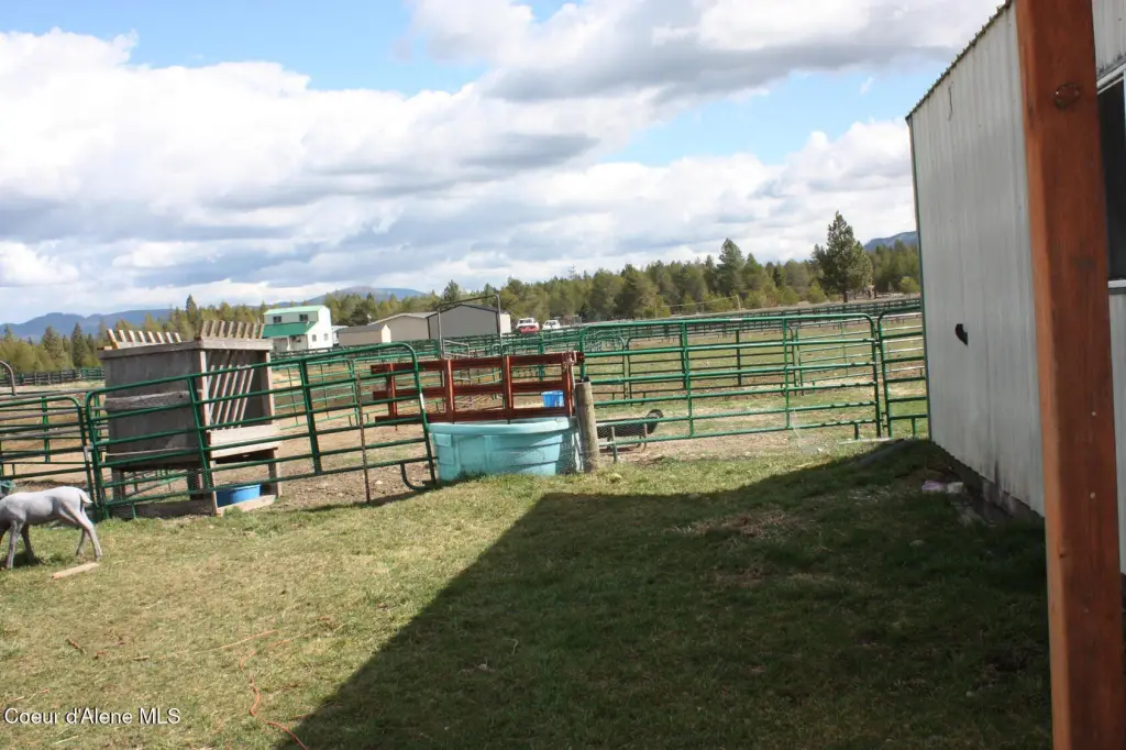 Picture 10