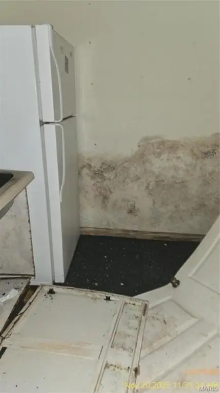 Picture 37