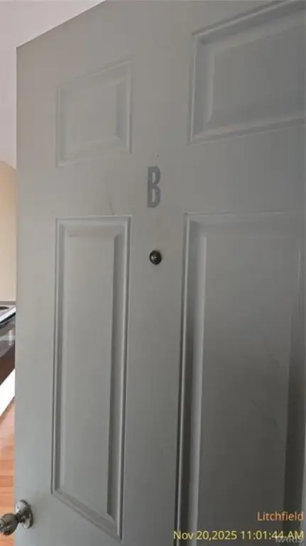 Picture 19