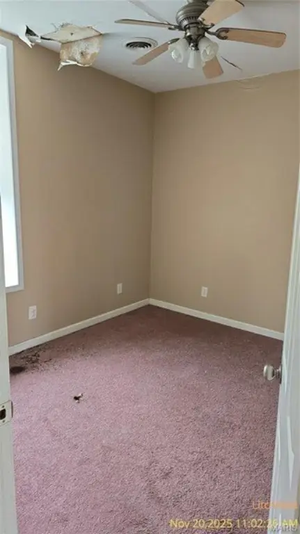 Picture 24
