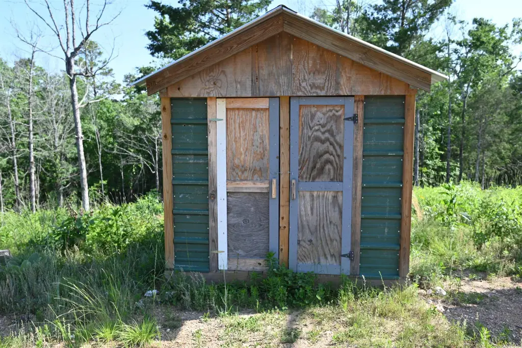 Picture 10