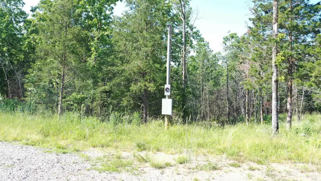 Picture 15