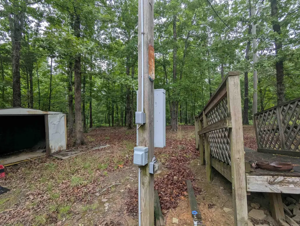Picture 4