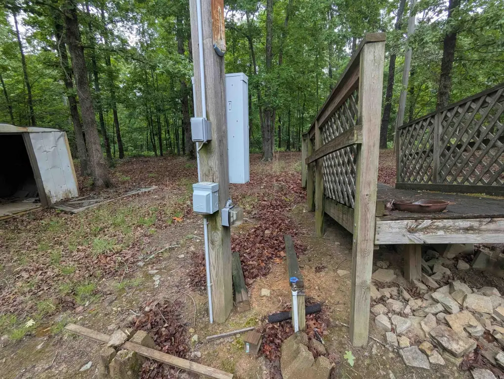 Picture 5