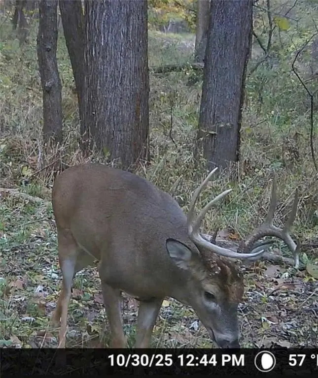 Picture 47