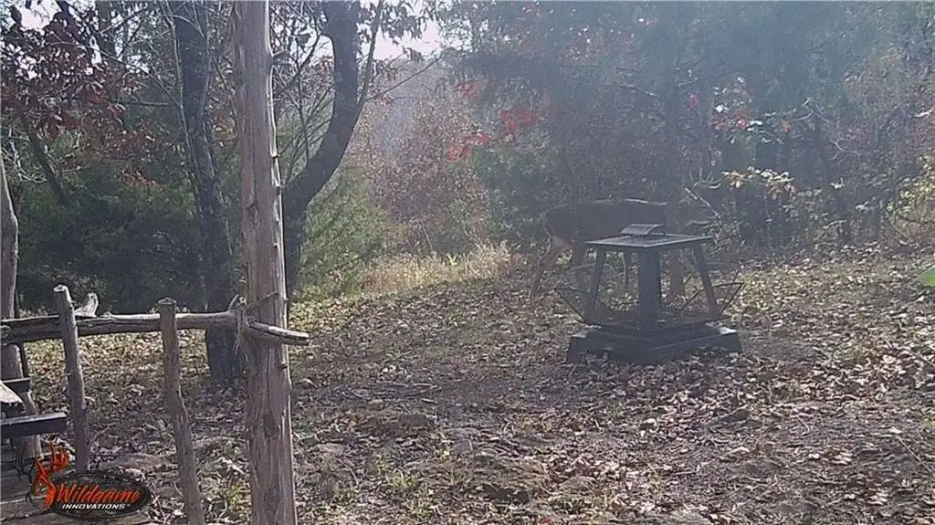 Picture 41