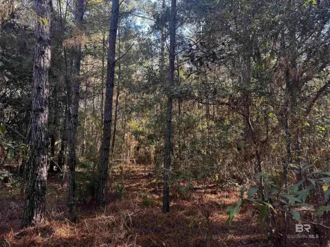 Undeveloped Land in Theodore, AL
