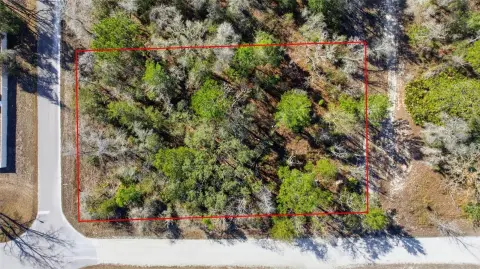 Residential Land in Weeki Wachee