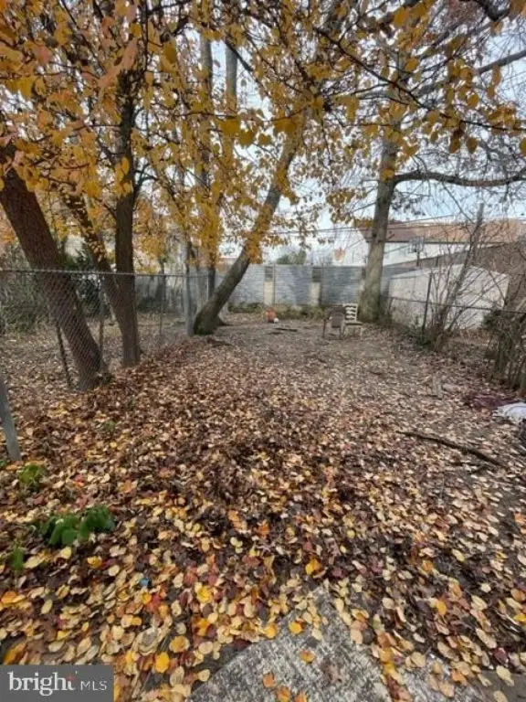 Picture 21
