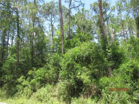 Residential Land in Bunnell, Florida