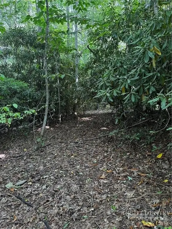 Picture 22