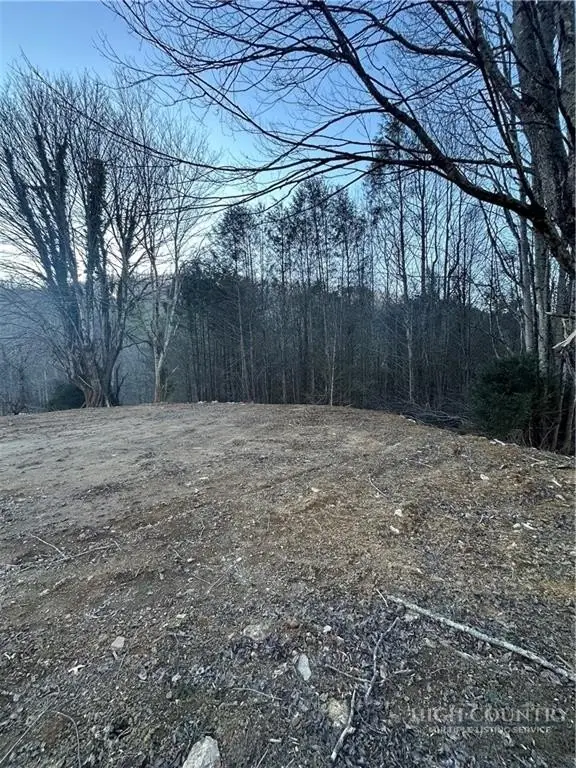 Picture 13