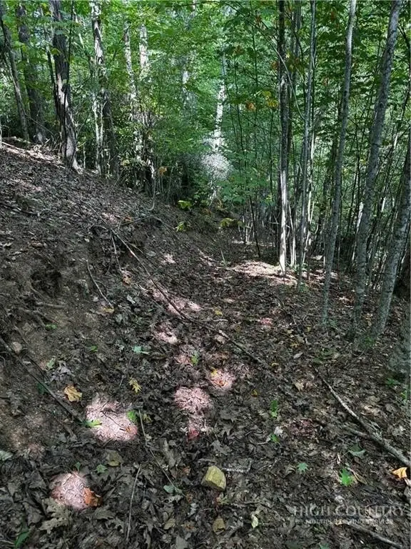 Picture 23