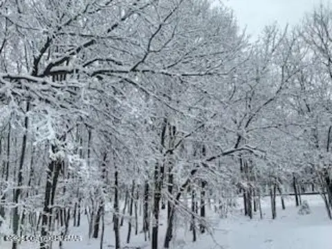 Residential Land in Albrightsville, PA