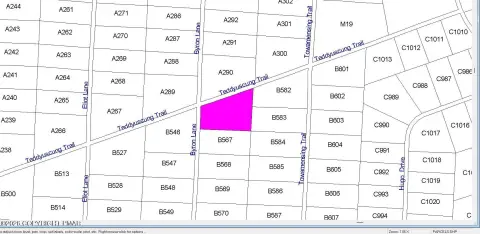 Corner Lot in Towamensing Trails