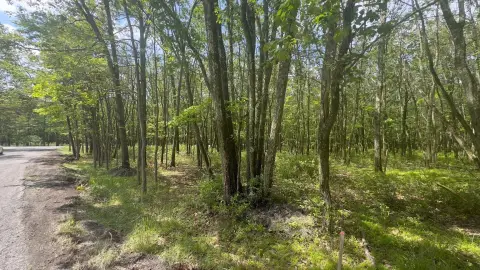 Vacant Lot in Mt. Pocahontas