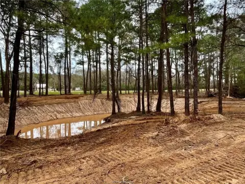 Navasota Land with Pond