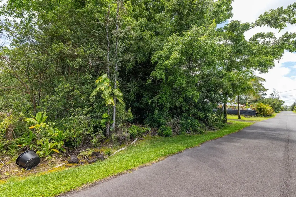 Picture 3