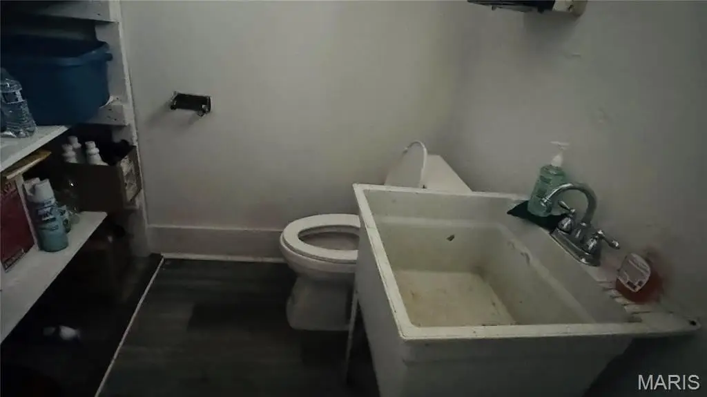 Picture 8