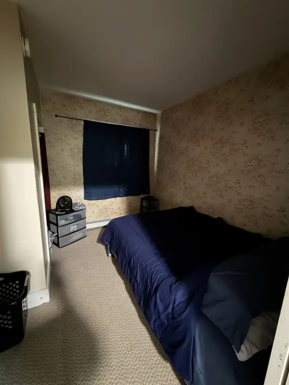 Picture 18