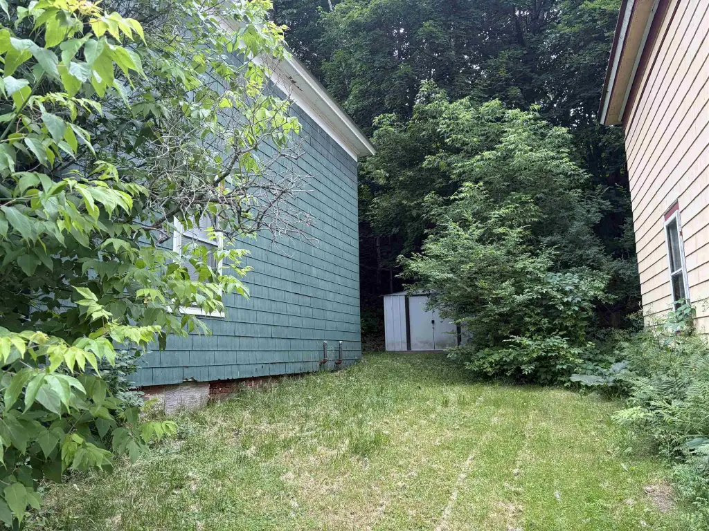 Picture 8