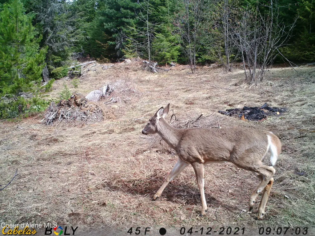 Picture 21